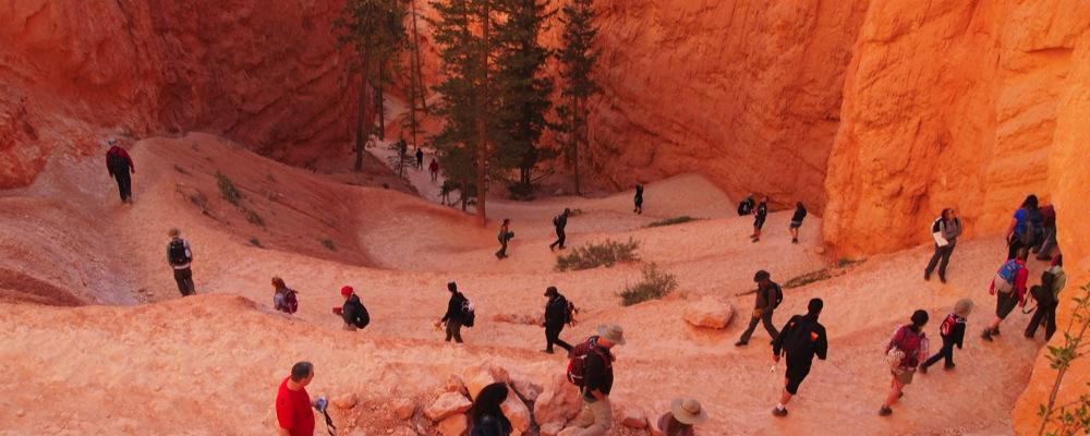 MSU Denver Students hiking down switchbacks at Bryce Canyon