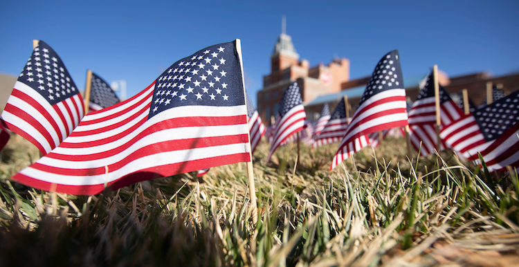 Flags on a lawn